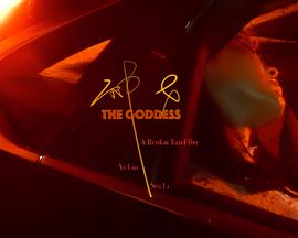 我免费咨询一下律师