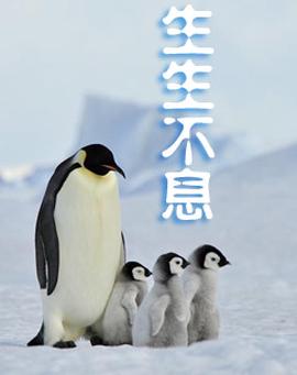 宫锁心玉在哪里可以免费观看