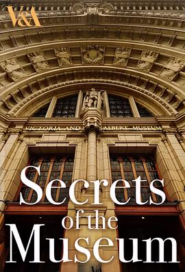 法医秦明无声的证词在线免费观看