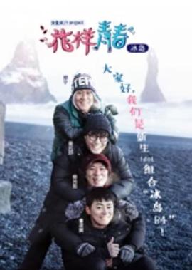 怪诞行为学下载