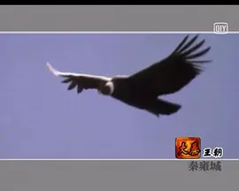 黄妈黄绮珊 离不开你