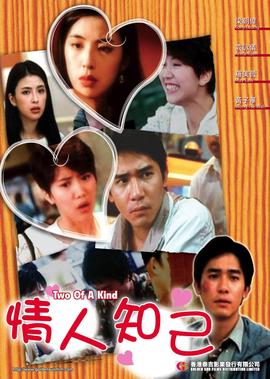 公安局长第二部电视剧