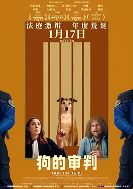 京城81号到底发生了什么