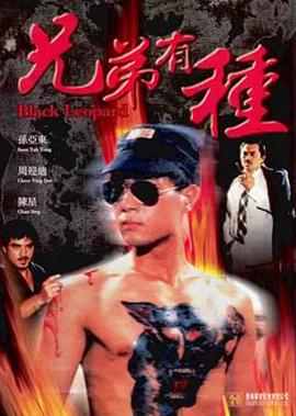 全网影视下载软件安装