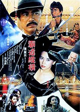 张静初电影孔雀