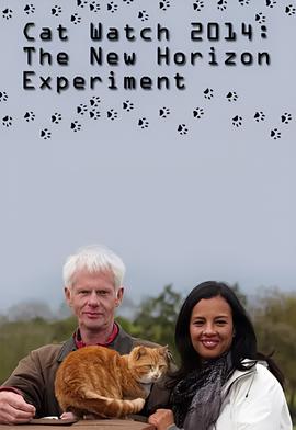 遇龙电视剧在线观看全集