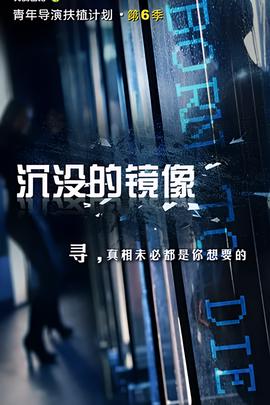 黄手帕第一部电视剧