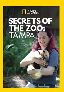 电视剧石光荣第一部