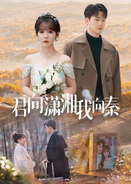 断刺剧情介绍剧情介绍