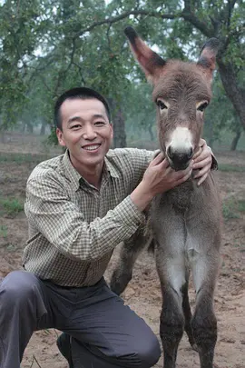 穆桂英大破天门阵下载