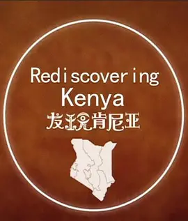 天衣无缝电视剧免费观看全部